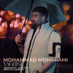 دانلود آهنگ محمد محرمی به نام یاغیش