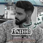دانلود آهنگ محمدرضا سیلی به نام آشوب