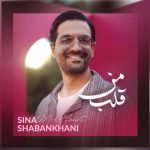 دانلود آهنگ سینا شعبانخانی به نام قلب من