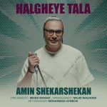 دانلود آهنگ امین شکرشکن به نام حلقه ی طلا