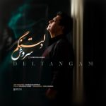 دانلود آهنگ سروش به نام دلتنگم مثه شبی بارون زده ویژه