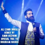 دانلود آهنگ علی زندوکیلی  به نام ریمیکس شاد (از امین رضوانی)