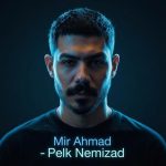 دانلود آهنگ میر احمد به نام پلک نمیزد