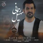 دانلود آهنگ سهیل رحمانی به نام دسته خودم نیست
