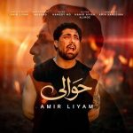 دانلود آهنگ امیر لیام به نام حوالی