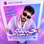 دانلود آهنگ ساواش به نام حبیبی